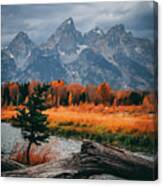 Grand Teton National Park #32 Canvas Print