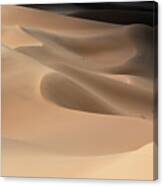 Gobi Desert #4 Canvas Print