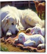 Great Pyrenees #4 Canvas Print
