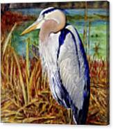 #421 Great Blue Heron #421 Canvas Print