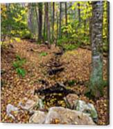 Appalachian Autumn #5 Canvas Print