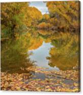 Verde River Near Camp Verde, Arizona, Usa #5 Canvas Print