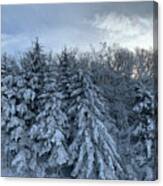 Winter Wonderland #5 Canvas Print