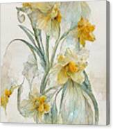 Daffodils #6 Canvas Print