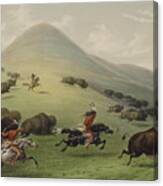 Buffalo Hunt By George Catlin Canvas Print