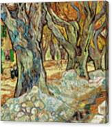 The Large Plane Trees By Vincent Van Gogh Canvas Print