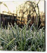 Cold Ground With Stem Of Grass Canvas Print