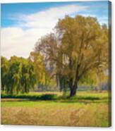 A Fainted Tree And An Oak In The Middle Of The Meadow. Canvas Print