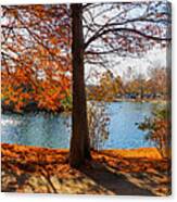 A Gorgeous Autumn Day At Centennial Park Canvas Print