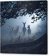 A Group Of Deer In A Misty Forest. Canvas Print
