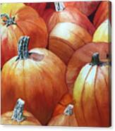 A Horde Of Pumpkins Canvas Print
