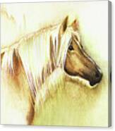 A Horse By The Taj Canvas Print