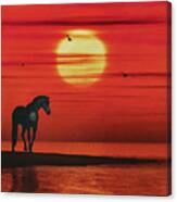 A Horse Watching The Sunset Over The Sea Canvas Print