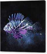 A Lion Fish Canvas Print