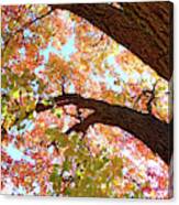 A Look Up Canvas Print