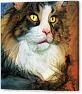A Maine Coon Cat Named Al Canvas Print