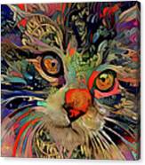 A Psychedelic Maine Coon Cat Named Chaos Canvas Print