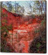 A Red Canyon Afternoon Canvas Print