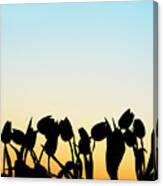 A Silhouette Of Tulips Canvas Print