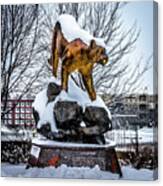 A Snowy Cougar Canvas Print