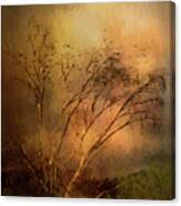 A Touch Of Autumn Canvas Print