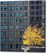 A Tree Grows In The Windy City Canvas Print