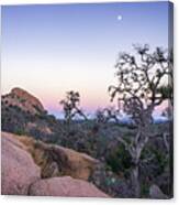 A View Of Turkey Peak From Enchanted Rock In The Evening - Texas Canvas Print