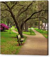 A Walk In The Park Canvas Print