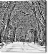 A Winter Drive Black And White Canvas Print
