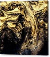 Abstract Golden And Black Paint Canvas Print