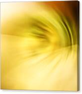 Abstract Image Golden Blur Canvas Print