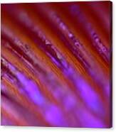 Abstract Canvas Print