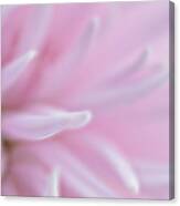 Abstract Pink Flower Canvas Print