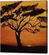 Acacia Tree At Sunset Painting Canvas Print