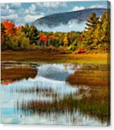 Acadia Meadow Canvas Print