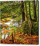 Adirondacks Autumn At Bog River Falls 1 Canvas Print