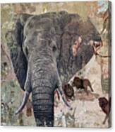 African Bull Canvas Print