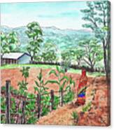 African Landscape Ethiopia School Garden Canvas Print