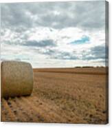 After The Wheat Harvest In Alberta Canvas Print