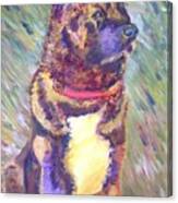 Akita Canvas Print