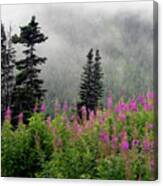 Alaska Pines And Wildflowers Canvas Print
