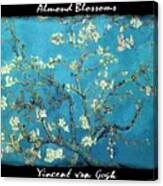 Almond Blossoms - Vvg Canvas Print