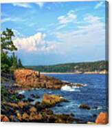 Along The Coast In Acadia National Park Canvas Print