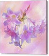 Amaryllis Belladonna Lilies Canvas Print