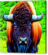 American Bison Abstract Colorful Canvas Print