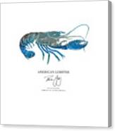 American Lobster Canvas Print