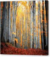 An Autumn In The Forest Canvas Print