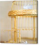 An Open, Golden Bird Cage And Lost Feathers Canvas Print