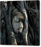 The Fallen Kingdom - Buddha Statue, Wat Mahathat, Thailand Canvas Print