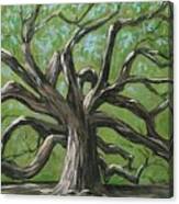 Angel Oak Canvas Print